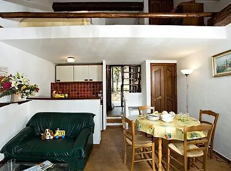 Des Oliviers Hotel Sainte-Maxime