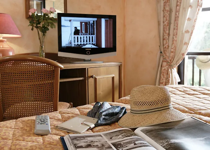 Des Oliviers Sainte-Maxime