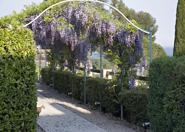 Des Oliviers Готель