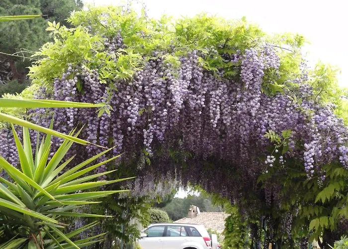 Готель Des Oliviers 3*